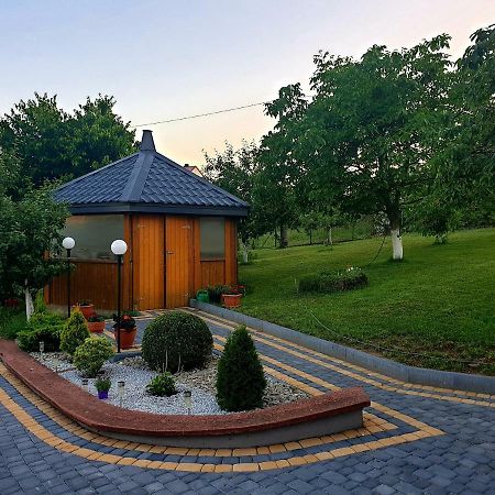 U Wladzia Apartment Gowidlino Ngoại thất bức ảnh